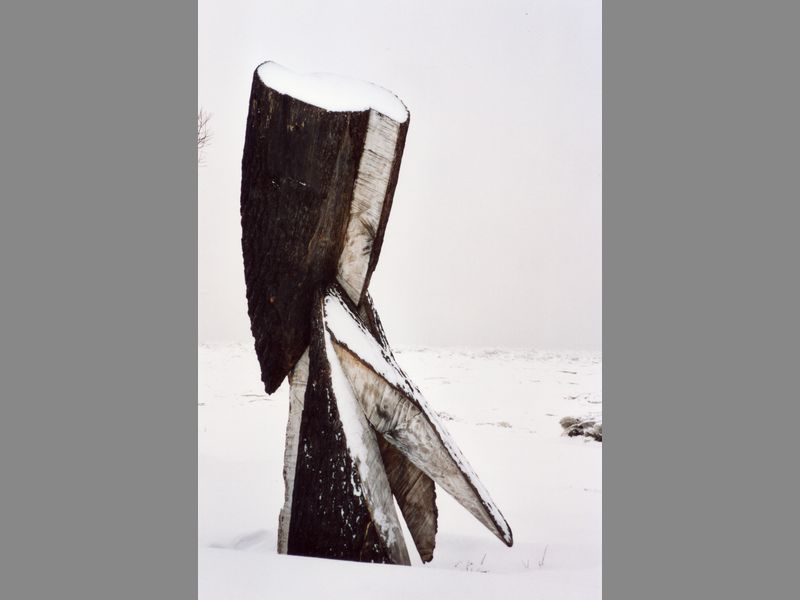 <b><i>Ikarus</i></b>, 2001, Canadees grenenhout, ø 80 x300cm,Saint Port Joli (Canada)